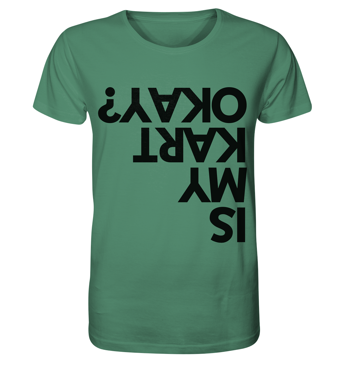 Is my Kart okay? / Shirt