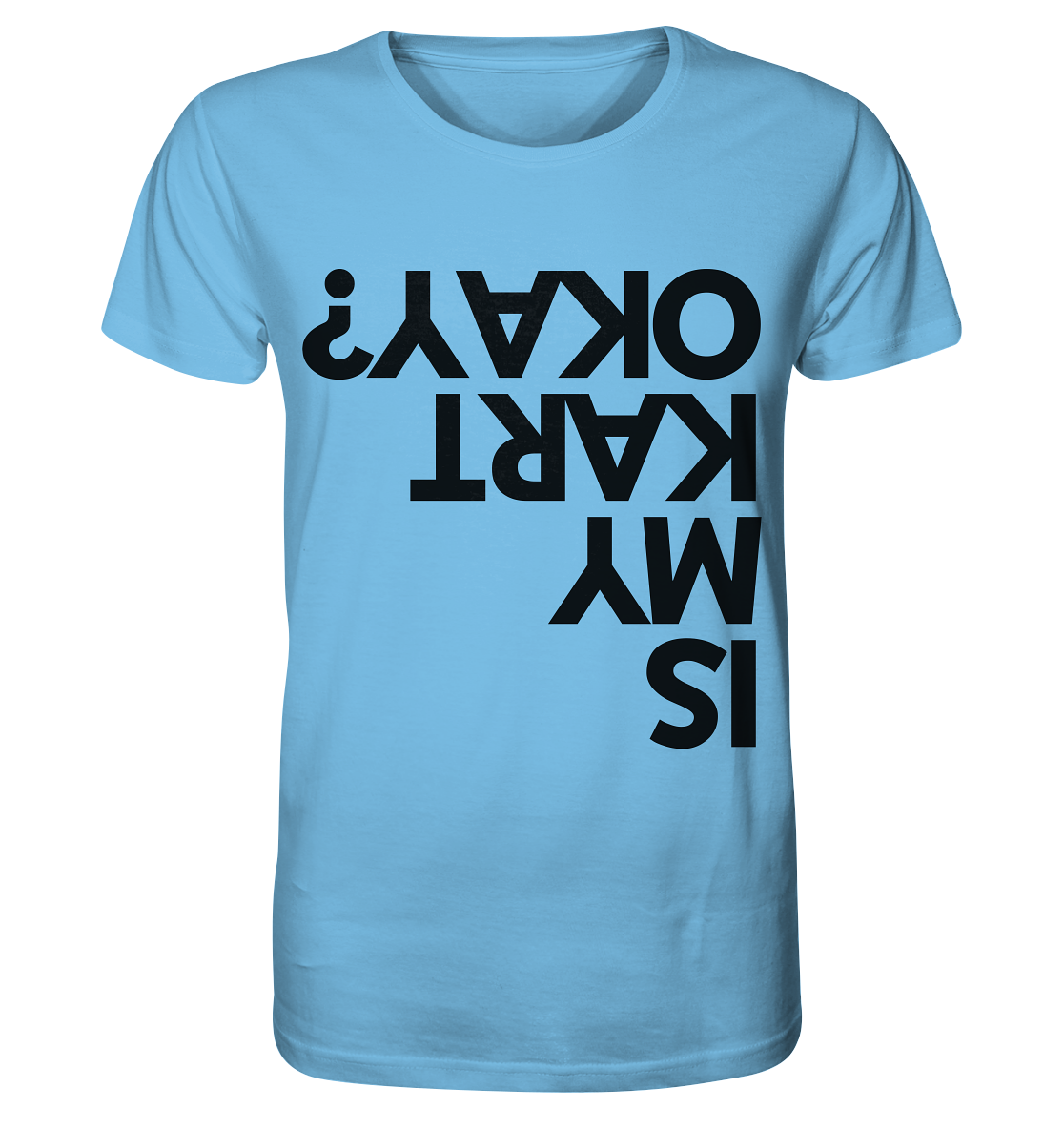 Is my Kart okay? / Shirt