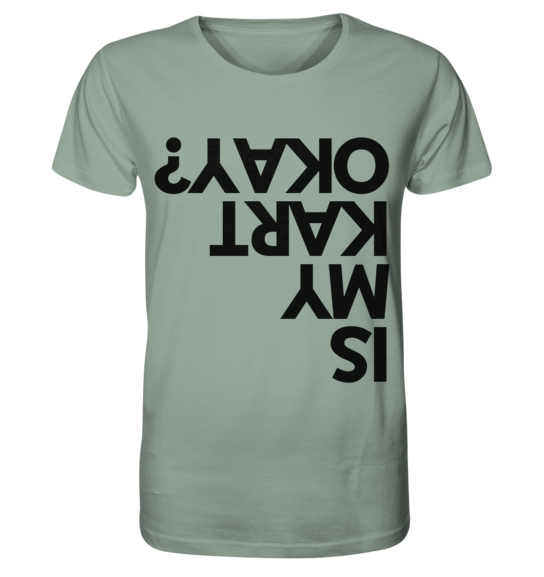 Is my Kart okay? / Shirt
