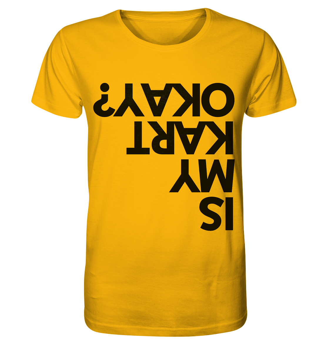 Is my Kart okay? / Shirt